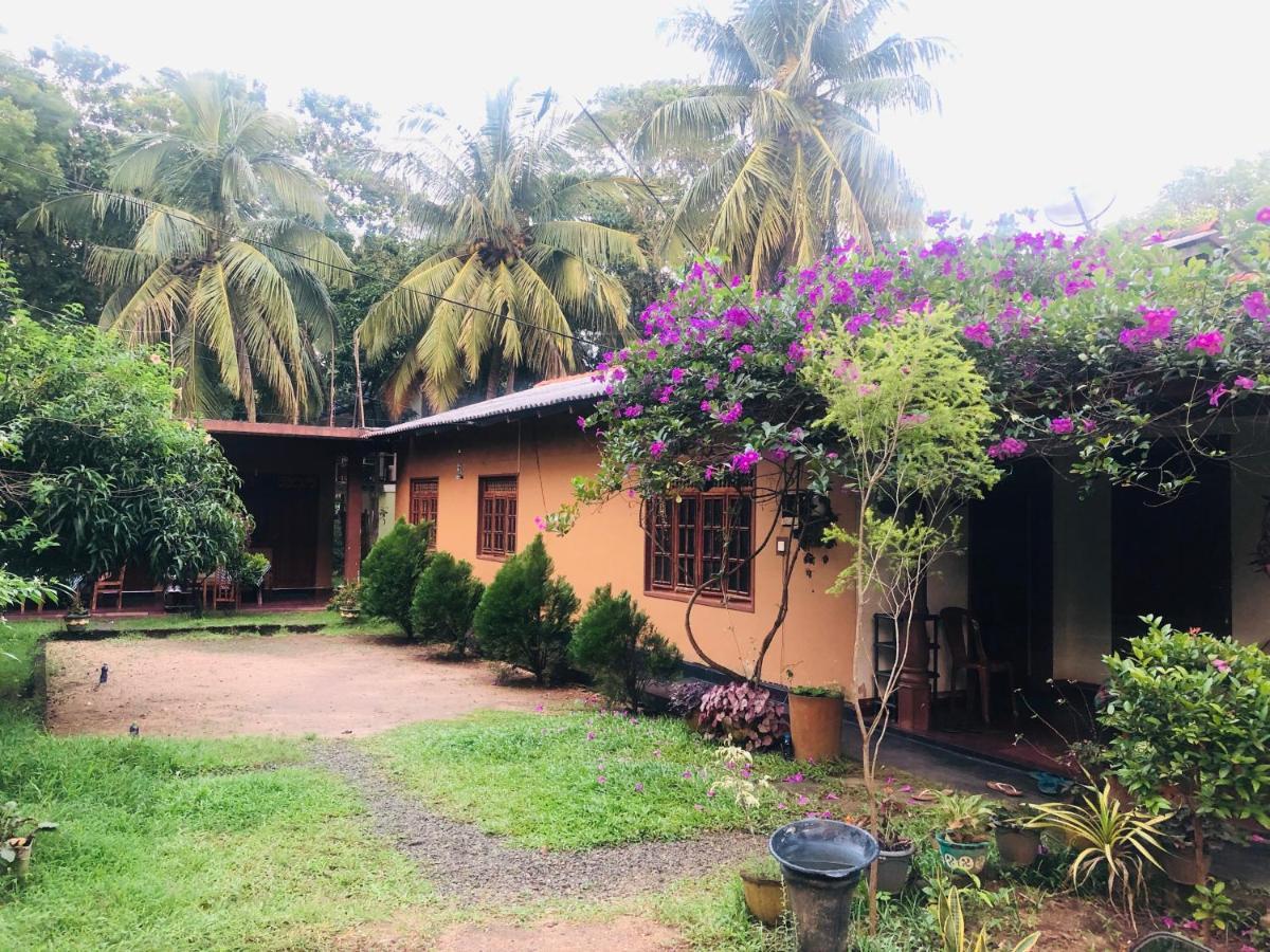 Sigiriya Nature Villa Lodge Extérieur photo
