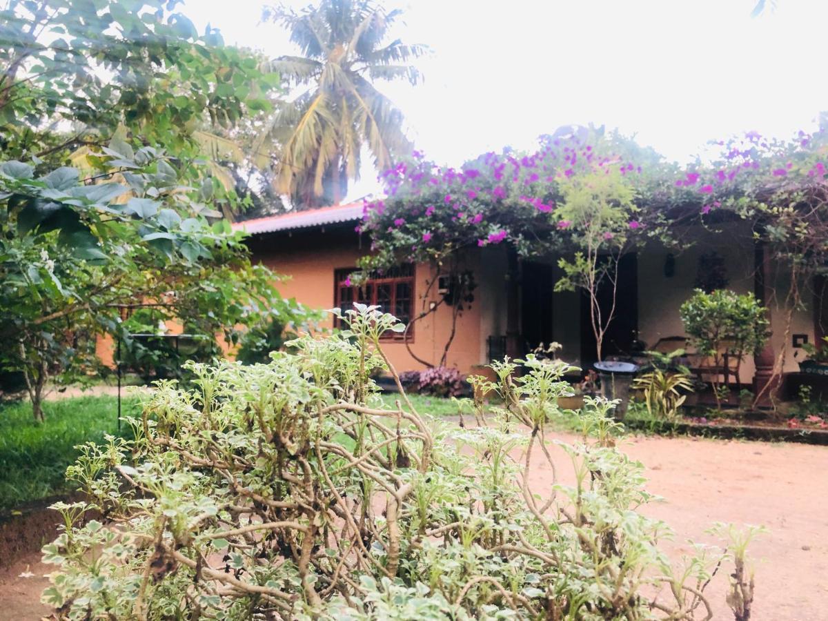 Sigiriya Nature Villa Lodge Extérieur photo