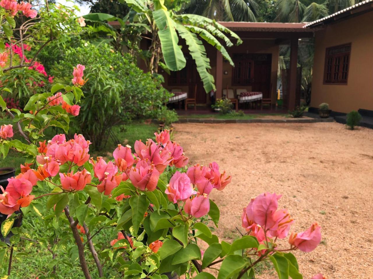 Sigiriya Nature Villa Lodge Extérieur photo